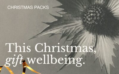 This Christmas, gift the gift of wellness