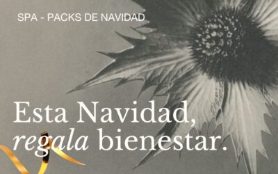 Esta Navidad, regala bienestar