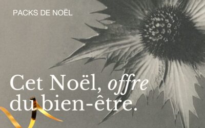 Ce Noël, offrez du bien-être