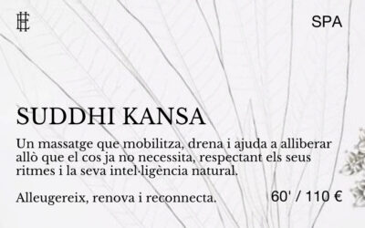 Suddhi Kansa